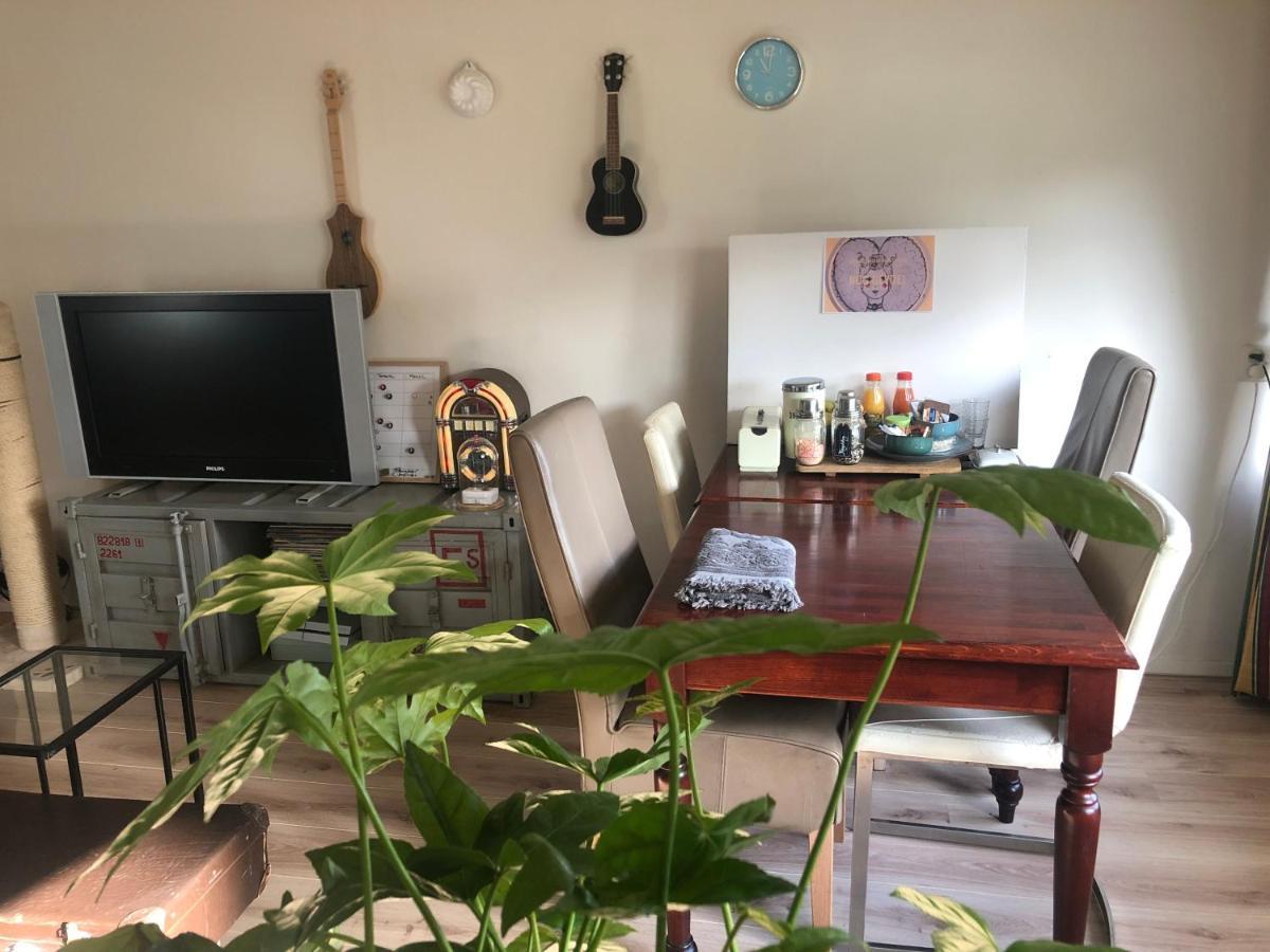De Drei Schorre Bed & Breakfast Dreischor ภายนอก รูปภาพ